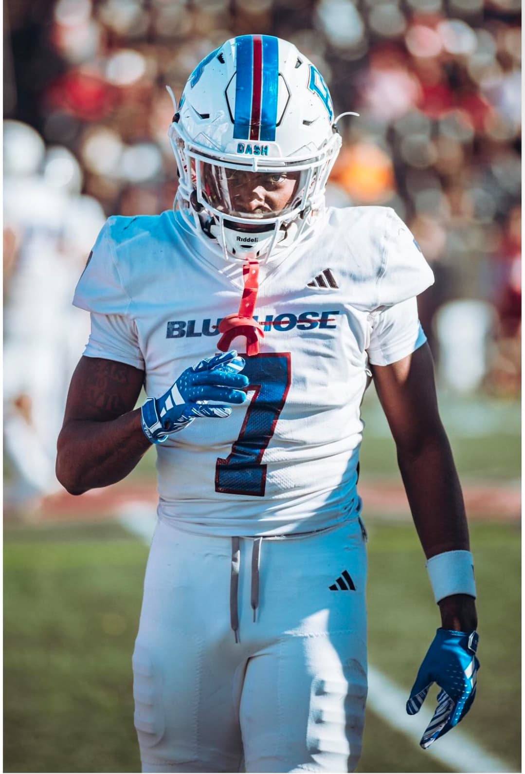 CJ Johnson